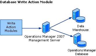 Database Write Action Module