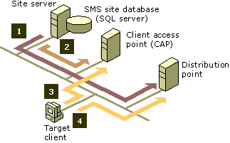 Software Distribution Process diagram